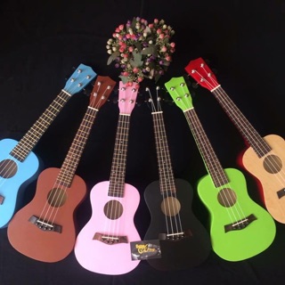 Đàn ukulele concert