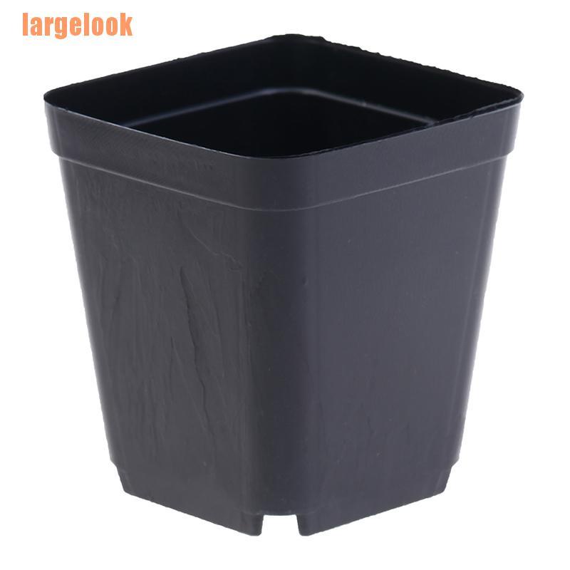 Bộ 10 chậu cây bằng nhựa dáng vuông nhỏ màu đen tiện dụng