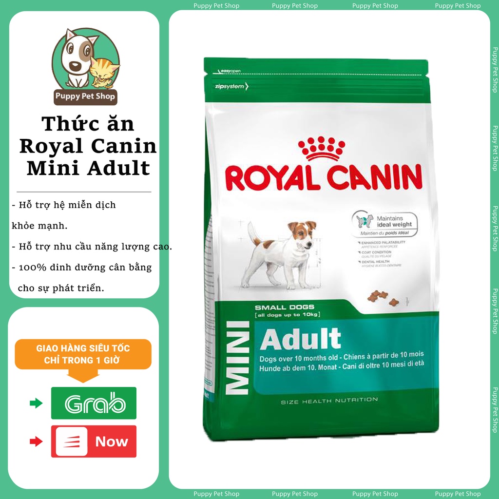Thức ăn hạt dành cho dòng chó nhỏ trưởng thành - Royal Canin Mini Adult