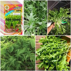 400h Hạt Giống Cải Ngọt Nhật Mizuna