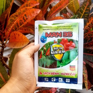 Thuốc trừ nấm bệnh hại cây trồng Man35, Mancozeb xanh. trừ đốm lá, vàng lá, rỉ sắt, sương mai