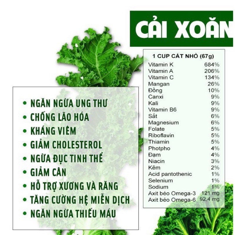 Bột cải xoăn (kale) giàu dinh dưỡng , vitamin, tốt cho bé ăn dặm, giúp bé phát triển tối ưu (Hộp 50g)