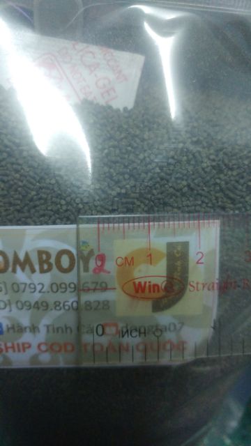 CÁM TOMBOY 2, dạng mảnh nhỏ CHÌM trong nước [1 KG]