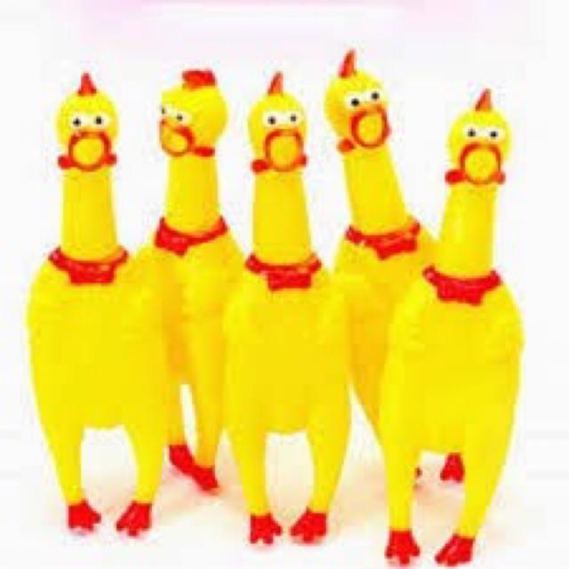 Bán Gà Bóp Kêu - Gà la hét Shrilling Chicken Sz Lớn và Nhỡ kèm trứng Siêu rẻ