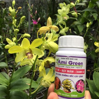 Phân bón sinh học Ami Green