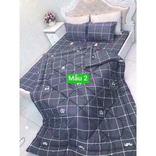 GA GIƯỜNG COTTON BỘ GỒM ( 1 GA + 2 VỎ GỐI NẰM )