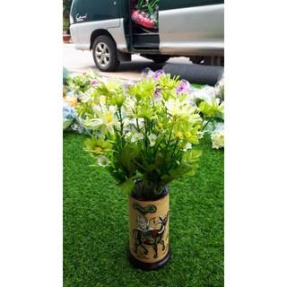 Cúc họa mi nhí