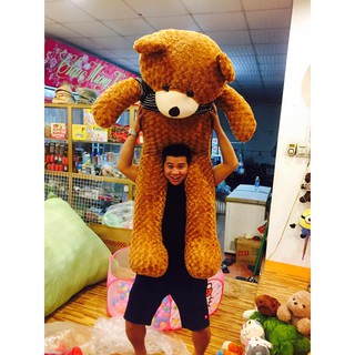GẤU TEDDY 1m6 (chiều cao thật 1m4) ảnh thật 100%