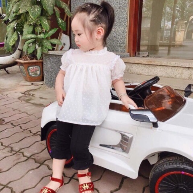 Combo thảo bờm