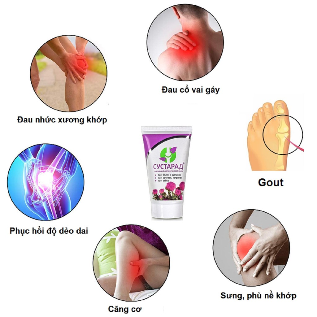 (KHỚP +GOUT) kem xoa bóp SUSTARAD thực vật tự nhiên và hữu cơ chống đau mỏi xương khớp, chống viêm, giảm đau toàn thân