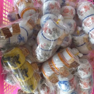 Lồng chim giả thái full phụ kiện