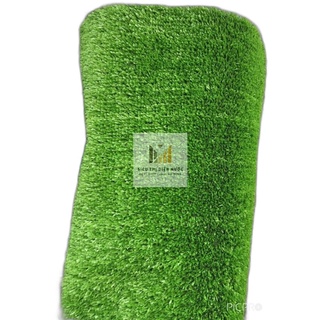 THẢM CỎ NHÂN TẠO SÂN VƯỜN GIÁ RẺ TP HCM CAO 2cm