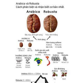 Cà Phê Mộc Arabica D- Land 500gr