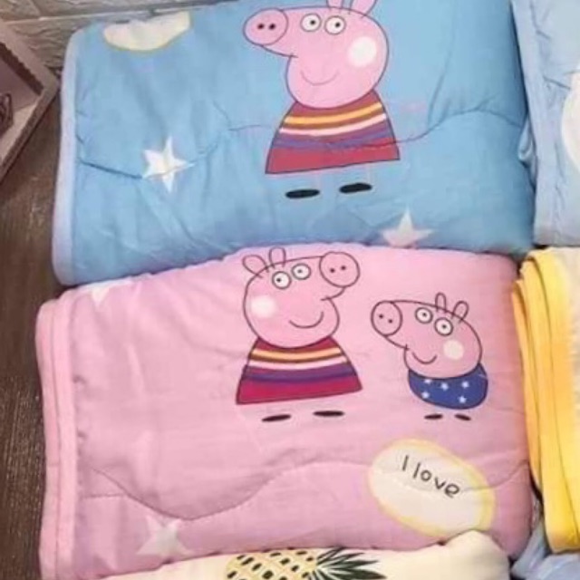 ‼️‼️chăn đũi đắp hè