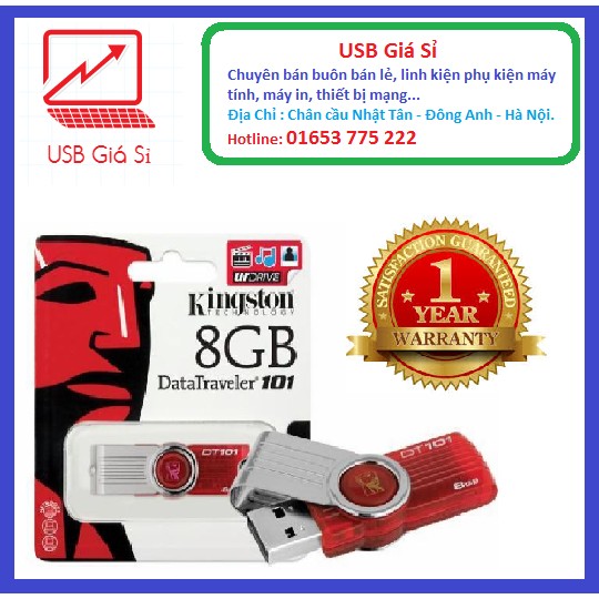 Usb Kington 8G 2.0