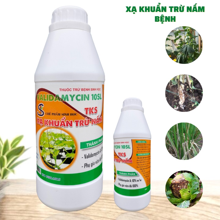 Chế Phẩm Trừ Bệnh Sinh Học Cho Cây Trồng VALIDAMYCIN 10 SL  - Chai 1 Lít