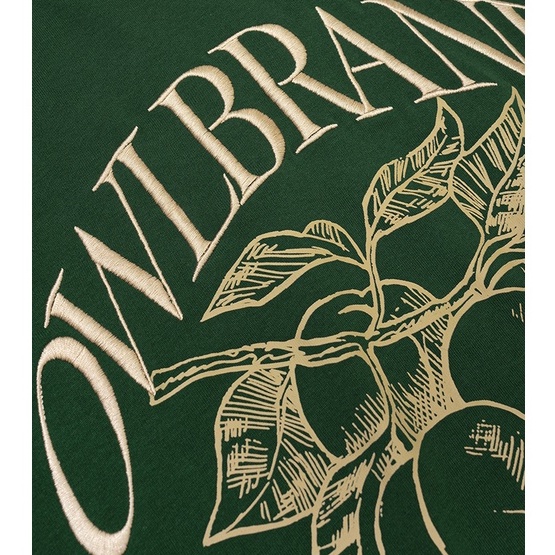 OWL BRAND® FRUIT TEE - Áo thun nam in hình / Xanh