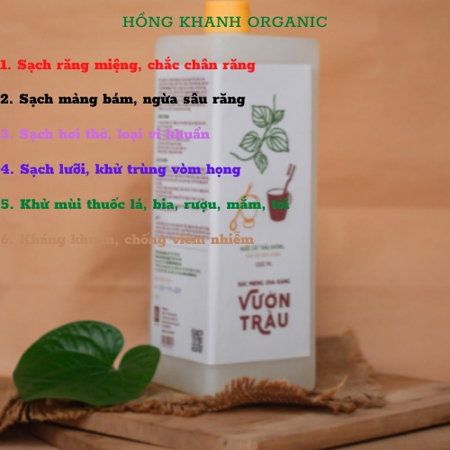 Nước Súc Miệng Chà Răng VƯỜN TRẦU 1300ML VIETHERB