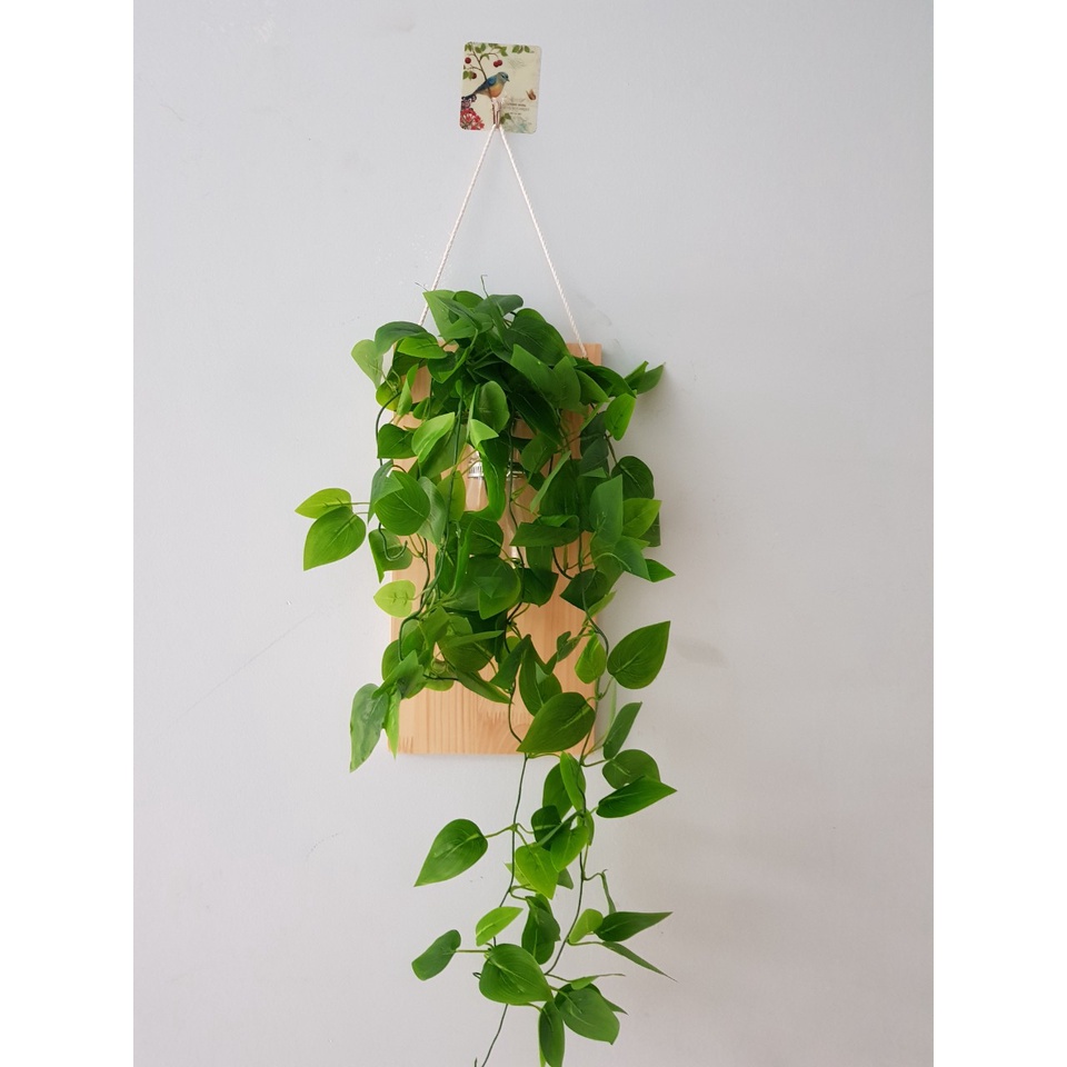 Khung Gỗ Treo Tường 15x30cm có khoan lỗ treo Bình Thuỷ Tinh Cắm Hoa, Cây Thuỷ Sinh - Kệ Gỗ Cắm Hoa Mẫu Mới