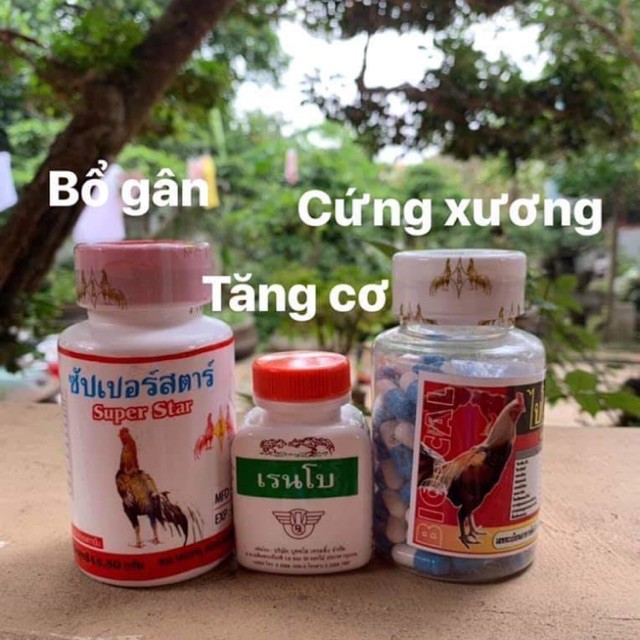 BỔ GÂN CƠ GÀ ĐÁ-Super Star 100 viên thuốc nuôi gà đá tăng cơ-TĂNG CƠ BẮP GÂN CƠ GÀ ĐÁ