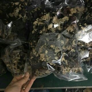 Sỉ giá gốc siêu rẻ mộc nhĩ rừng 50g - 100g