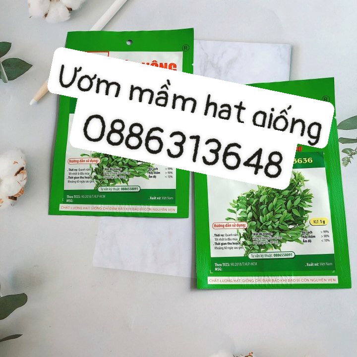 Hạt giống rau ngót Việt HN gói 1gr