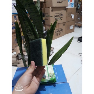Miếng rửa chén Scotch-Brite 2 lớp cước 2 công dụng.