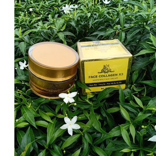 KEM FACE COLLAGEN X3 ĐÔNG ANH