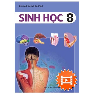 Sách - Sách giáo dục lớp 8