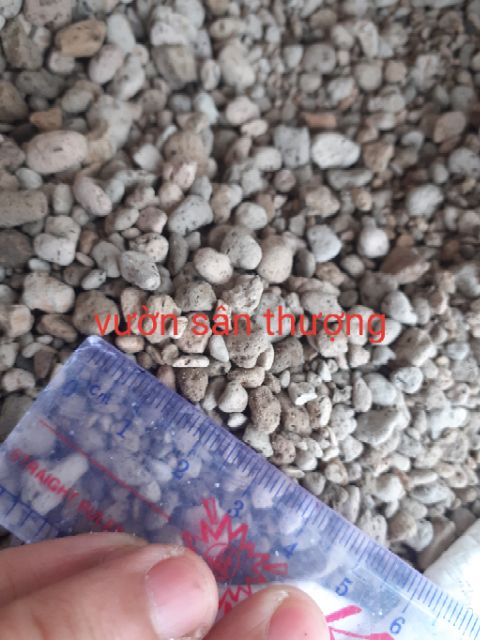 1 kg Đá Pumice Indo ( bọt đá núi lửa, nham thạch) Size Tự Chọn Chuyên Dùng Trộn Giá Thể Sen Đá, Hồng, Lan, Bonsai ..