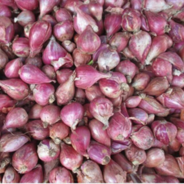 500 gr hành tím