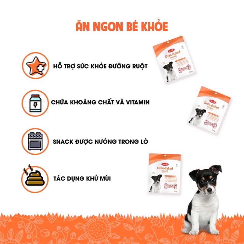 [220g] Bánh bích quy hỗn hợp Bowwow | Chứa 23 loại khoáng chất và vitamin | Tăng cường miễn dịch