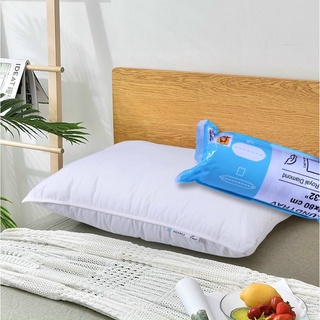 Ruột gối lông vũ Ikea