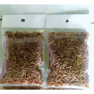 Sâu mini khô dinh dưỡng cho hamster, nhím, sóc, chim -100gr