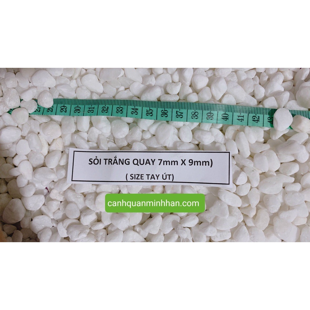 Sỏi trắng tiểu cảnh trang trí bể cá hồ cá trang trí chậu cây lót đường đi 1kg Minh Hân Garden