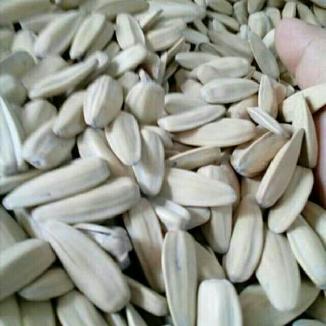 500g HƯỚNG DƯƠNG TRẮNG MẶN NGỌT