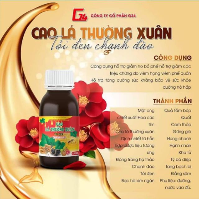Cao Ho Lá Thường Xuân Chanh Đào Tỏi Đen