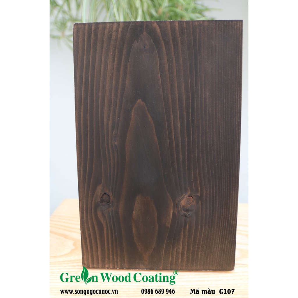 Sơn lau gỗ gốc nước Green - Bảng màu số 1- (Water-Based Wood Stain)