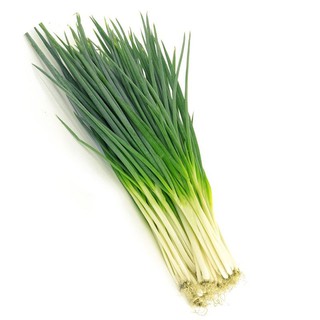 Hạt giống hành lá