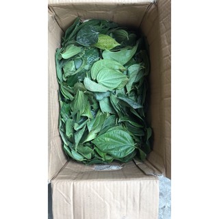 Lá trầu không tươi nhà trồng 50k/kg