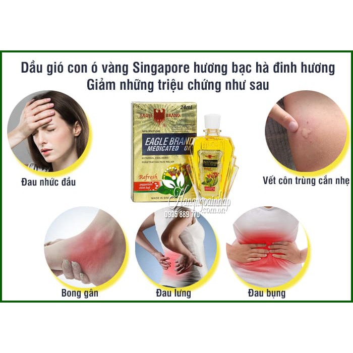 ComBo 2 Chai Dầu Gió Vàng 24ml(Eagle Brand)