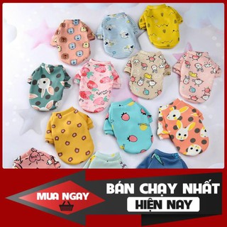 Trang phục thú cưng thu đông in họa tiết hoạt hình xỏ hai chân xinh xắn