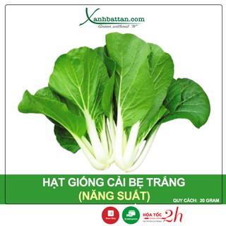 Hạt Giống Cải Bẹ Trắng Phú Nông Gói 20 Gram