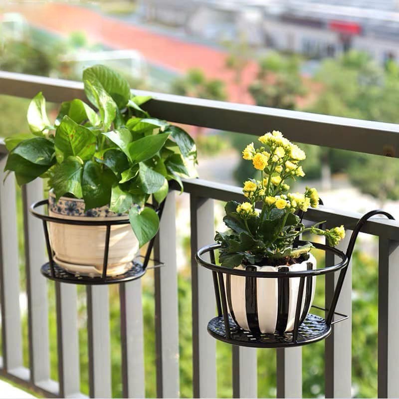 (Loại dày) 05 móc tròn treo hoa bằng sắt đặc sơn tĩnh điện có lưới đỡ chậu 22cm