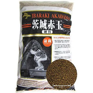 (Giá Siêu Rẻ) Đất Ibaraki Akadama size S - loại cứng- trồng sen đá, xương rồng, bonsai- Túi 1kg