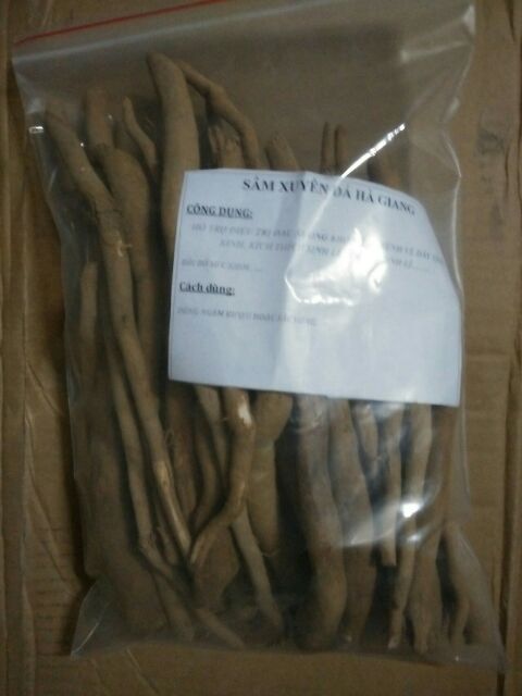 Sâm xuyên đá Hà Giang tươi từ núi rừng[1Kg]