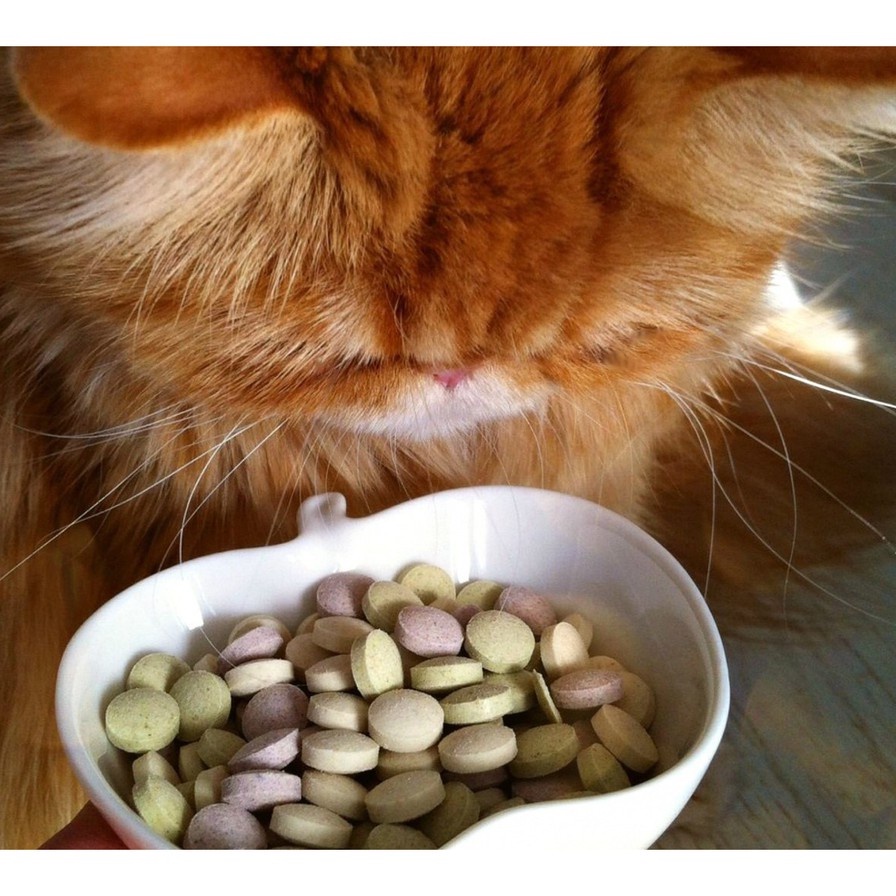 Vitamin Tổng Hợp GimCat Baby Tabs Cho Mèo Con - Hộp 240 Viên (85g)
