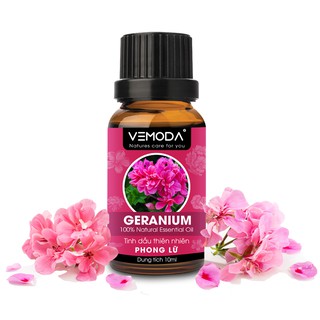 Tinh dầu Phong lữ cao cấp 10ml - khử mùi, làm thơm thư giãn không gian phòng
