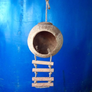 Tổ chim, thú gáo dừa có thang