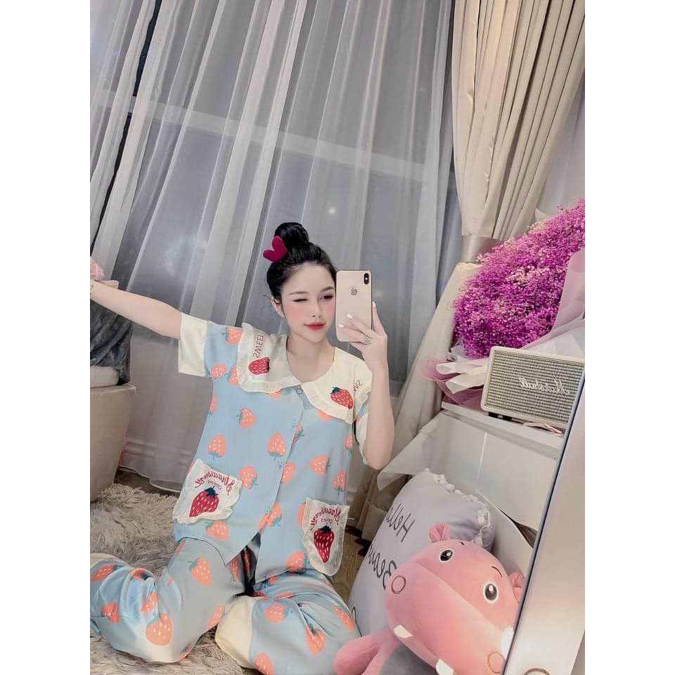 BỘ ngủ lụa áo cộc tay ,quần dài xinh xắn(kèm ảnh thật,video) | BigBuy360 - bigbuy360.vn